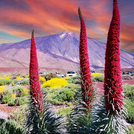 Wonderland Tierra Fertil Gigantes شقة *