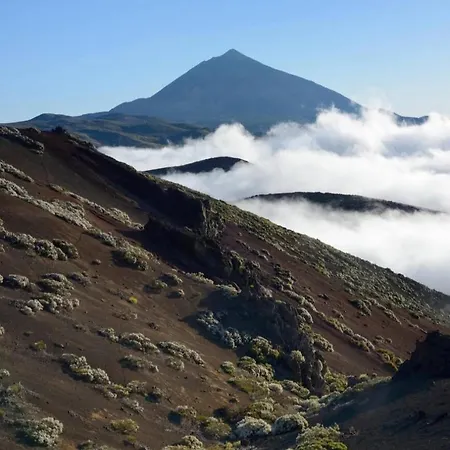 Wonderland Tierra Fertil Gigantes Santiago del Teide