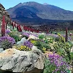 Wonderland Tierra Fertil Gigantes Apartamento Santiago del Teide