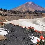 Wonderland Tierra Fertil Gigantes شقة *