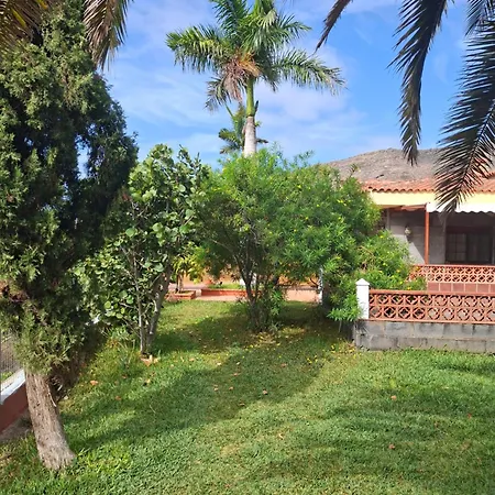 Wonderland Tierra Fertil Gigantes *