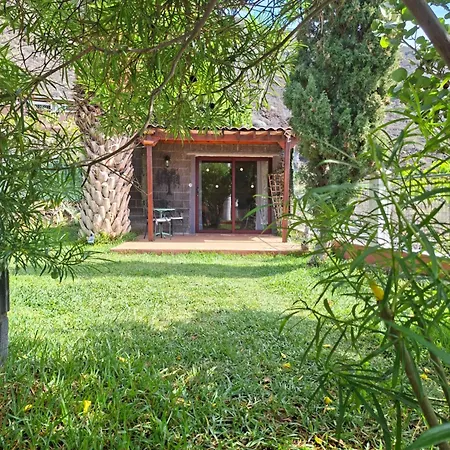 Wonderland Tierra Fertil Gigantes Daire