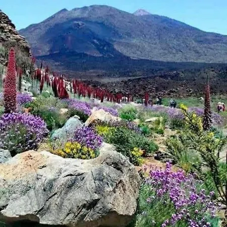 Wonderland Tierra Fertil Gigantes Daire Santiago del Teide