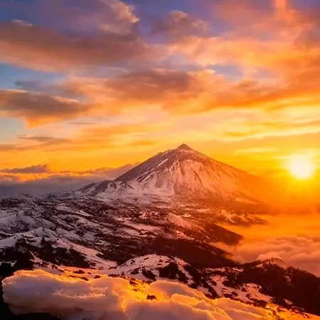 Wonderland Tierra Fertil Gigantes *