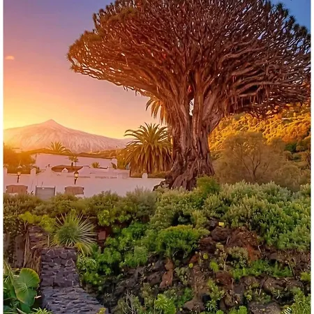 Wonderland Tierra Fertil Gigantes * Santiago Del Teide