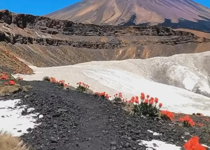 Wonderland Tierra Fertil Gigantes شقة *