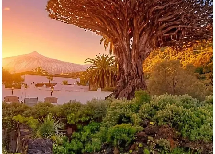 Wonderland Tierra Fertil Gigantes * Santiago del Teide